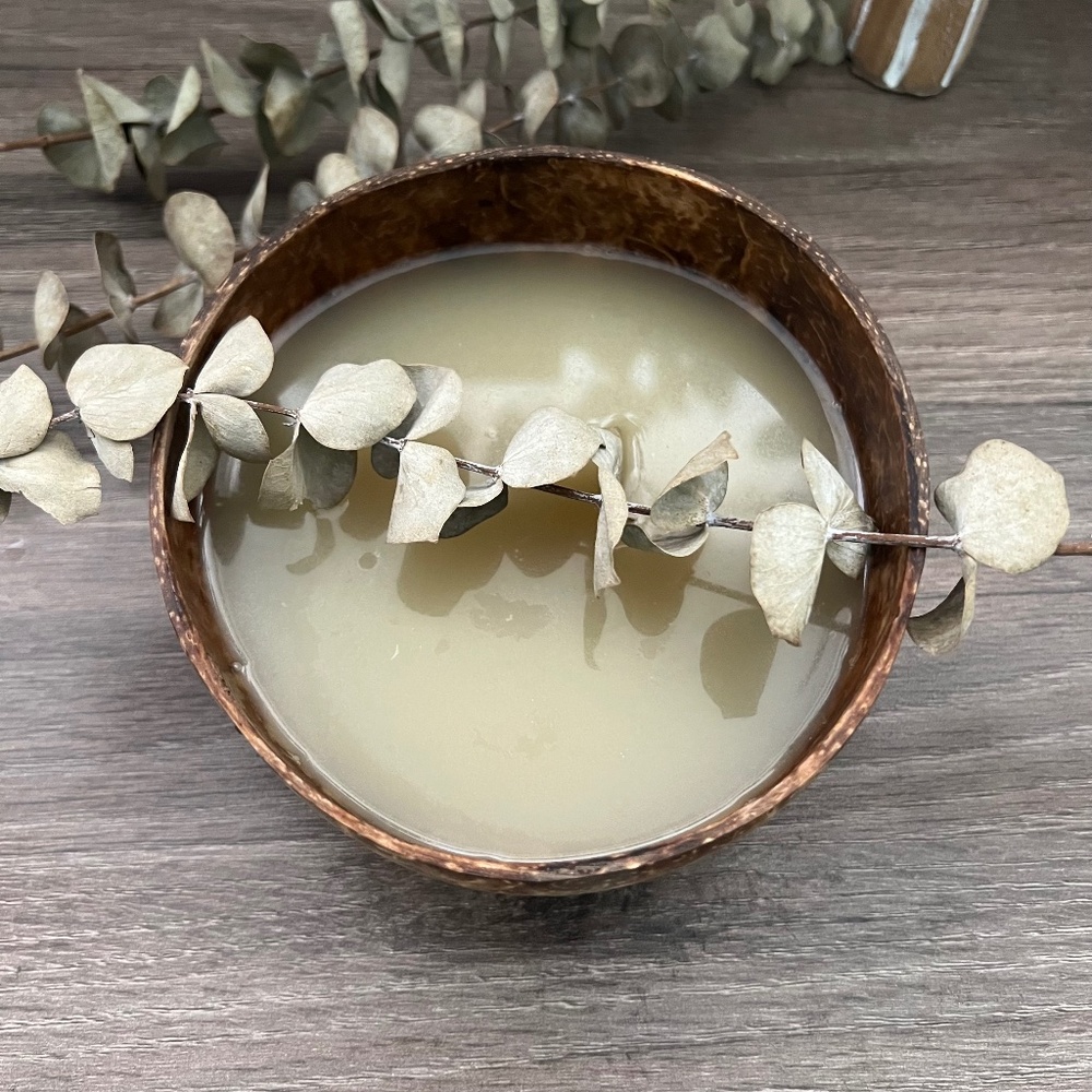 Natural Coconut Bowls